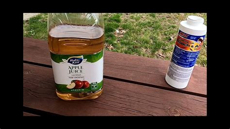 Homemade Wasp, Hornet Trap - YouTube