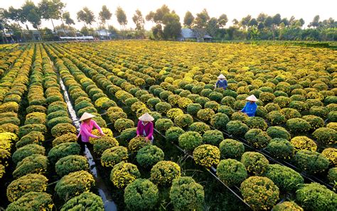 Lễ hội hoa Sa Đéc sẽ giới thiệu 102 món ăn và bánh dân gian từ bột gạo ...