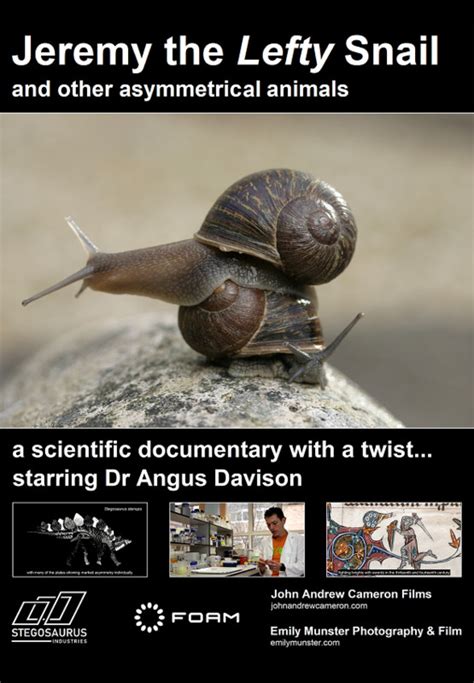 JEREMY THE LEFTY SNAIL AND OTHER ASYMMETRICAL ANIMALS by Dr. Robert P. Cameron – Weird Wednesday ...