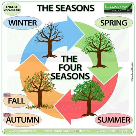 Woodward English on Instagram: “NEW CHART: The four seasons in English (winter, spring, summer ...