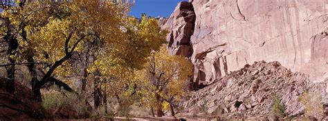 Hiking in Horseshoe Canyon | Canyonlands Natural History Association