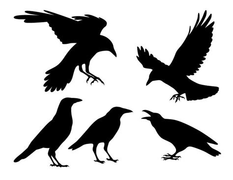 Halloween Raven Crow SVG DXF Pack - Digital Download, Halloween crow raven designs in 2021 ...