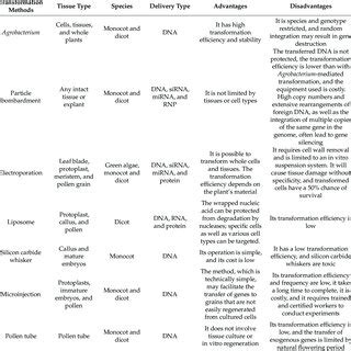 Comparison of different plant genetic transformation methods ...