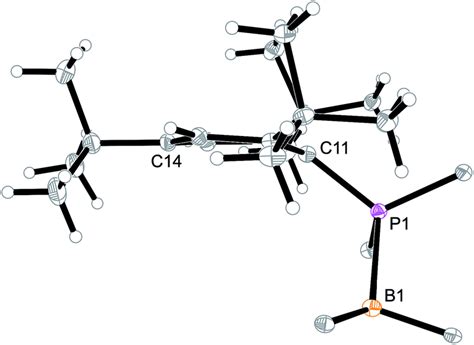 Formation of macrocyclic ring systems by carbonylation of trifunctional ...