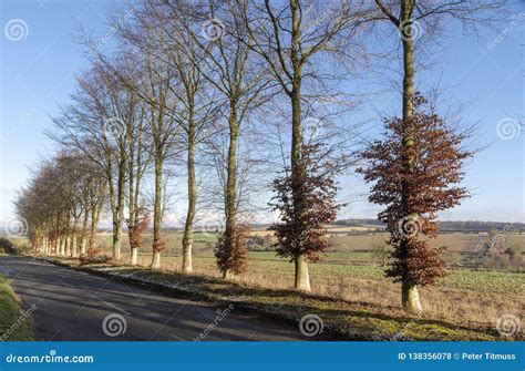 English Countryside in Hampshire, Southern England Stock Photo - Image ...