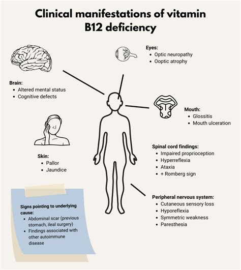 What are the physical findings associated with vitamin B12 deficiency? • The Blood Project