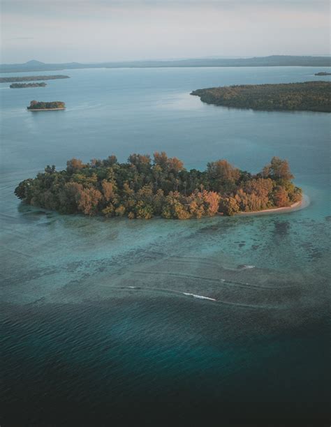 The coral reefs of Papua New Guinea | We love it Wild