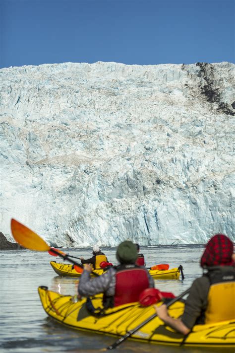 Seward Wildlife Cruises — Seward Tours