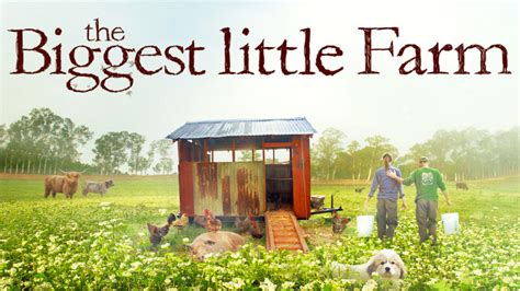 Stream the acclaimed film “The Biggest Little Farm” | NC State University Libraries