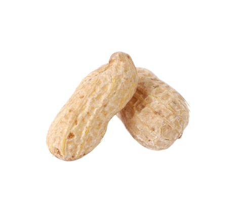 Peanut shell isolated on white 3151567 Stock Photo at Vecteezy