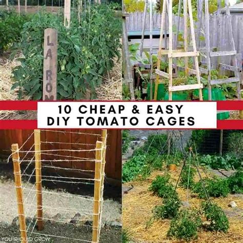 Want to make your own tomato cages? | Tomato plants support, Tomato ...