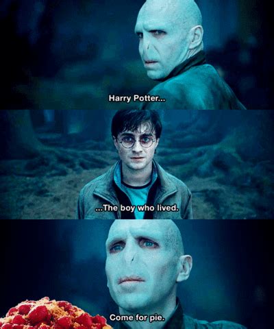 Funny Harry Potter pic! - Harry Potter Photo (24196205) - Fanpop