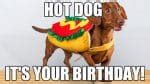 26 Funny Happy Birthday Memes To Make Them Smile on Their Special Day