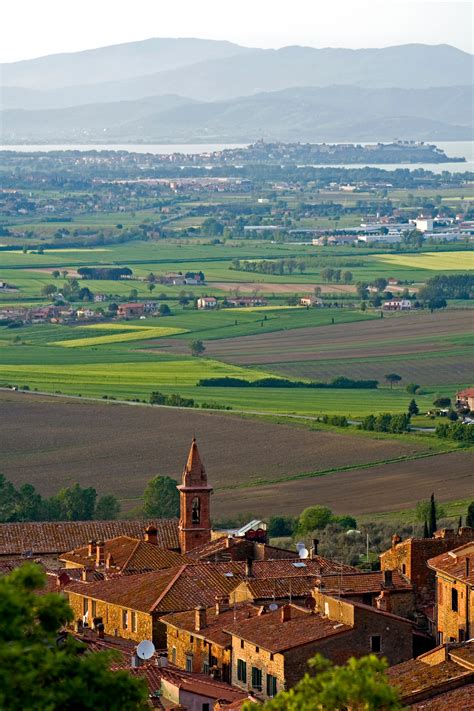 Travel: Olive oil in Paciano, Italy - The Washington Post