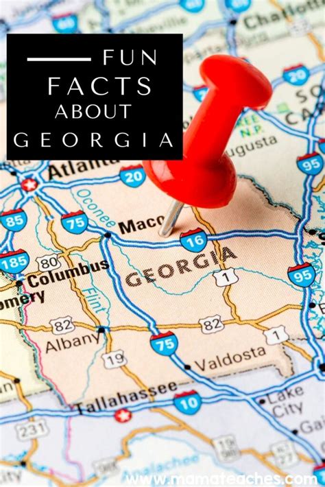 Fun Facts About Georgia for Kids - Mama Teaches