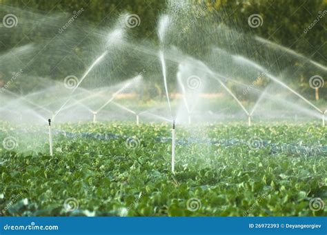 Irrigation Systems In A Vegetable Garden Stock Photos - Image: 26972393