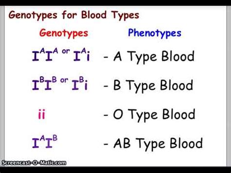 Blood Types and Punnett Squares - YouTube