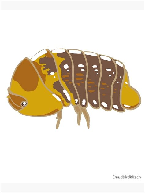 "Rubber Ducky Isopod" Poster for Sale by Deadbirdkitsch | Redbubble