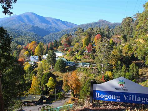 Bogong Village Accommodation - Mount Beauty