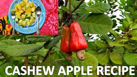 Cashew Apple Recipe - YouTube