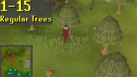 Complete OSRS Woodcutting Guide 1-99 (AFK, F2P, P2P Methods) - GoldenEyeVault