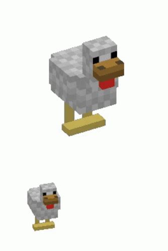 Chicken Minecraft GIF - Chicken Minecraft - Découvrir et partager des GIF