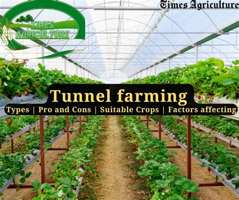 Tunnel farming and Its Types | Pros and Cons | Suitable Crops | 6 Important Factors affecting ...