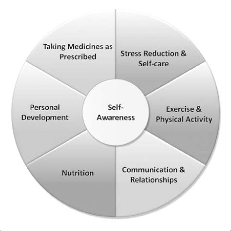 Wheel of Health. Modified from an existing model, 11 the Wheel of ...