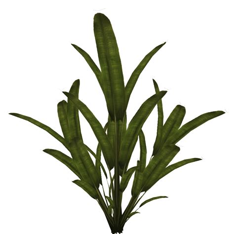 Palm Plant Sprite 1024x1024 - palmtree.png | OpenGameArt.org