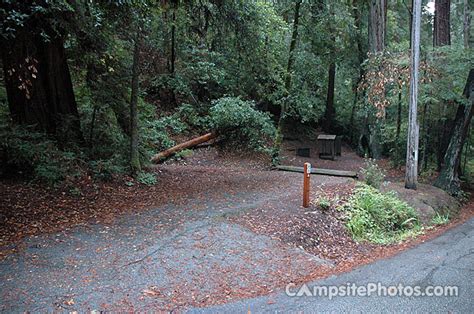 Portola Redwoods State Park - Campsite Photos, Campsite Availability