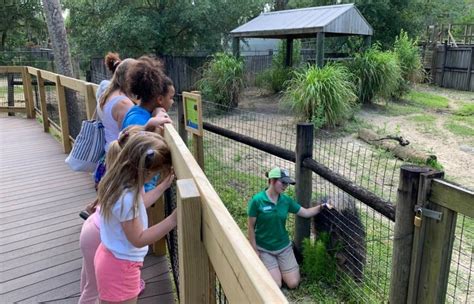 Party for the Planet at Central Florida Zoo - MyCentralFloridaFamily.com