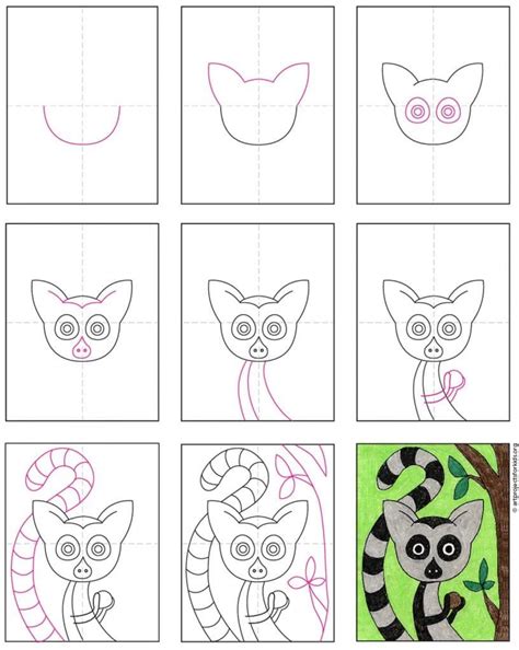 How To Draw A Lemur Step By Step at Drawing Tutorials