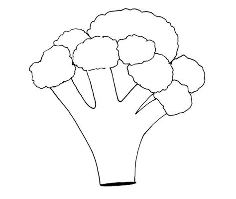 How To Draw Broccoli In 5 Easy Steps - Bujo Babe