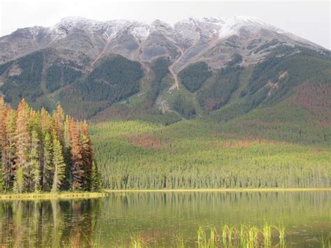 Buck Lake (Jasper National Park) - All You Need to Know BEFORE You Go - Updated 2021 (Jasper ...