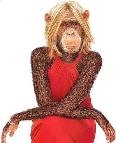 Fashion Show Celebrity: girl monkey