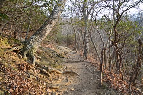 Blue Ridge Parkway: Sharp Top Mountain Trail, Buchanan, Virginia ...