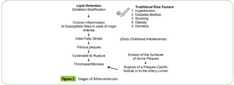 Pathogenesis of Atherosclerosis Essay - OnlineNursingExams