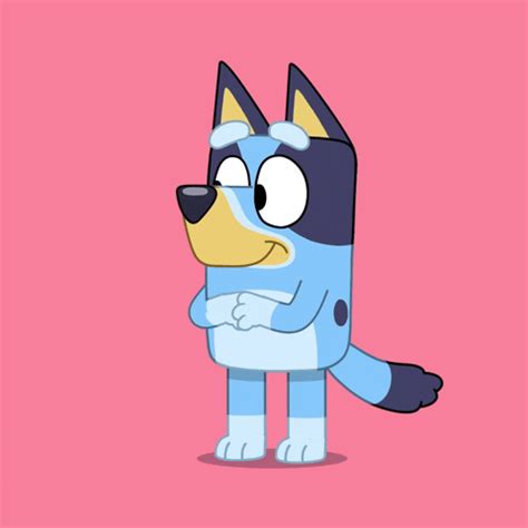 Bluey | Cartoon Amino