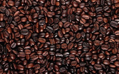 🔥 [41+] Coffee Beans Backgrounds | WallpaperSafari