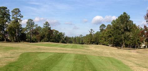 The Golf Preserve of Atascocita - Golf Course Information | Hole19