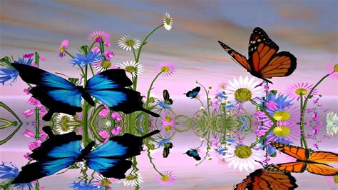 Butterfly Screensavers and Wallpapers (53+ images)