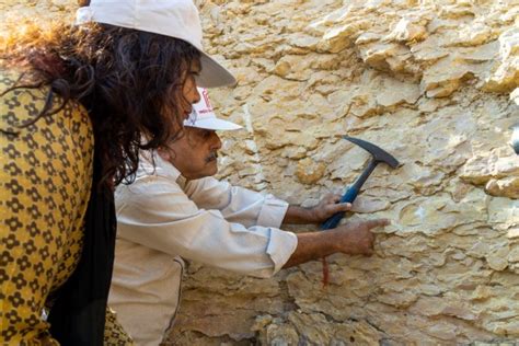 Where fossils meet faith in a Madhya Pradesh district | India News - The Indian Express