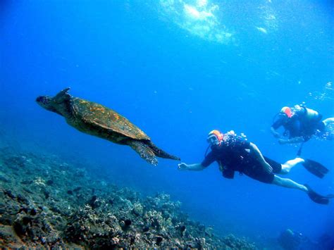 Best time for Scuba Diving in Hawaii 2018 - Best Season & Map