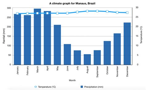 What is the climate of the rainforest? - Internet Geography