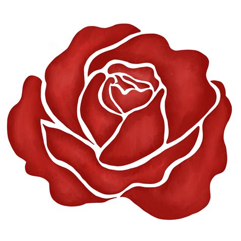 red rose flower drawing illustration 13213640 PNG