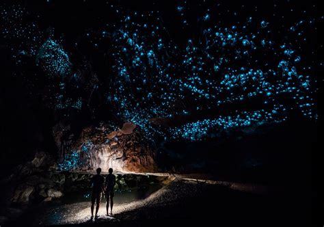 Kawiti Glow Worm Caves - Bay Of Islands, New Zealand | Adventure travel destinations, Glow worm ...