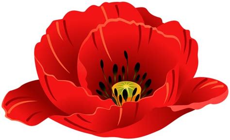 This png image - Poppy Transparent PNG Clip Art Image, is available for ...