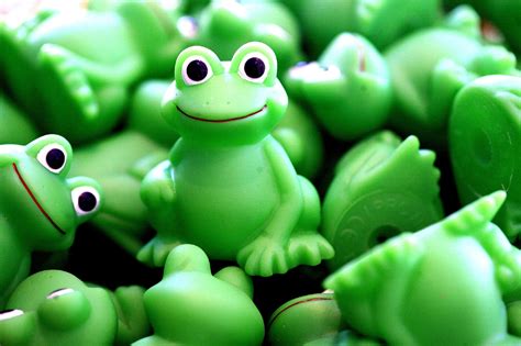 Photo of green plastic frog lot HD wallpaper | Wallpaper Flare