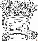 Printable Shells Coloring Pages Free For Kids And Adults sketch template