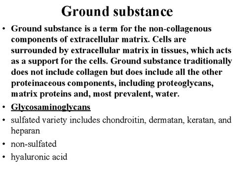 Connective Tissues Fibers and Ground Substance By Dr